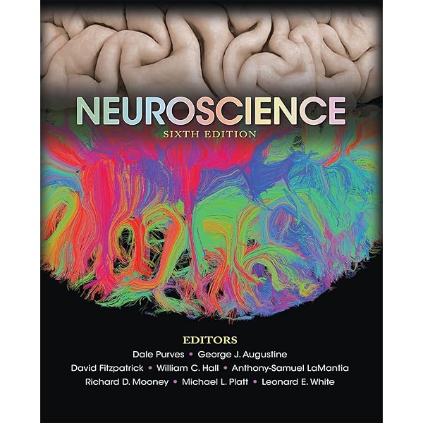 Amazon | Principles of Neural Science | Kandel, Eric R., Koester